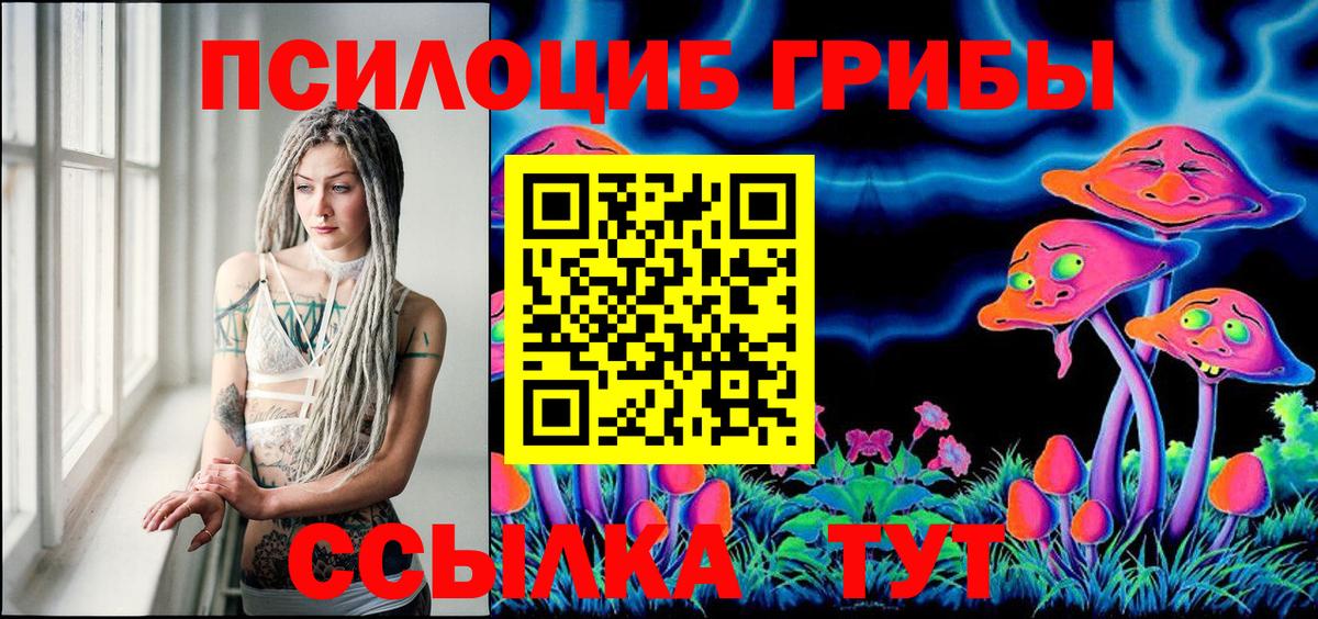 Великий Новгород  Псилоцибиновые грибы GOLDEN TEACHER  Галлюциногенные грибы Psilocybine cubensis  Вход с VPN 